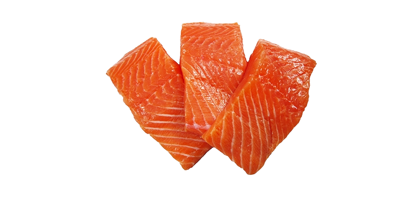 fish name1